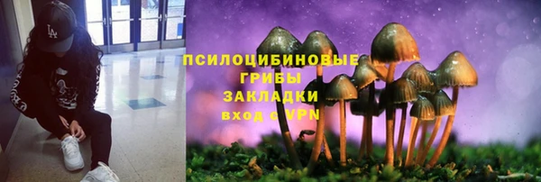 мескалин Балахна