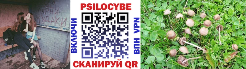 как найти закладки  Берёзовский  Галлюциногенные грибы Cubensis 